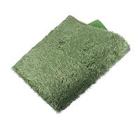 FIXOSHEE Césped Artificial Absorbente para Reptiles Alfombra Decorativa Musgo 45x30 Cm Sustrato para Dragón Barbudo Tortugas Terrarios Humectante