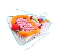 FIXOSHEE Delantal Anatómico Infantil Juguete Educativo para Enseñanza Temprana de Órganos Humanos Ayuda Didáctica para Preescolar y Conocimiento Corporal