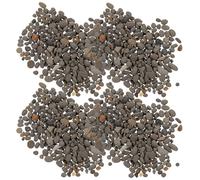 FIXOSHEE Piedras Decorativas para Peceras 2-5 Mm, Bolsa 50 G, Guijarros Naturales para Mini Paisajismo, Base para Acuarios y Jardines, Accesorios para Diseño de Micropaisajes