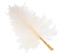 FIXOSHEE Ramo de Helechos Eternos Secos Blanco 10 Piezas para Decoración del Hogar, Artesanía DIY, Adornos Naturales sin Agua ni Tierra, Adecuado para Centros de Mesa y Regalos Hogareños