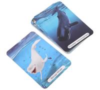 FIXOSHEE Tarjetas Educativas Temáticas de Animales Marinos para Juego Cognitivo Portátil de 1 Set Material Didáctico sin Reflejos para Desarrollo Visual y Motriz en Educación Infantil