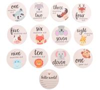 FIXOSHEE Tarjetas Mensuales de Madera para Bebés 13 Piezas Kit de Accesorios para Fotografía de Recién Nacidos Unisex para Documentar Crecimiento y Momentos Obsequios
