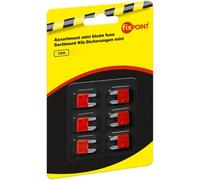 Fixpoint 10A - Fusible de seguridad (6 pieza(s))