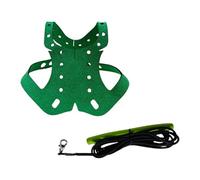 FJMQHU Arnés para Pájaros Correa para Palomas Arnés Ajustable Entrenamiento Antimordedura Material de Nylon Resistente Práctico para Ejercicio Y Salidas Al a, Verde