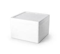 FJMQHU Estuche Médico Isotérmico Caja Contenedor Maletín Recipiente con Aislamiento de Espuma Engrosada Conservación Térmica para Insumos Médicos con, 260mm x 260mm x 170mm