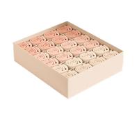 FJOADNVM Cajas Organizadoras Cajones 1PC-Underwear Organizer Cabinet Drawer Separator Box Socks Bra Belt Panties Storage Wardrobe Clothes Organ(Beige)