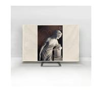 FJOADNVM Funda Para TV Cubierta antipolvo for pantalla, cubierta for TV, tela de 32-75 pulgadas, moneda Simple y moderna(11,32 inch)