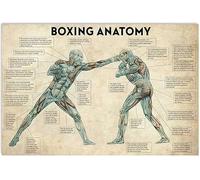 FJQWKLF Carteles metálicos vintage de anatomía del boxeo, póster de conocimientos de boxeo, decoración de gimnasio, decoración de club, placa decorativa de pared para habitación de casa, 30 x 40 cm