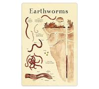FJQWKLF Lombrices de tierra Infografía Letreros de metal Conocimiento de lombrices de tierra Carteles retro Oficinas Guía de referencia Placas Hogar Club Aulas Decoración de pared 12.0 x 16.0 in