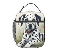 FKHOHL Impresión dálmata funcional aislada bolsa de comidas conveniente mantener el almuerzo caliente frío camping vacaciones