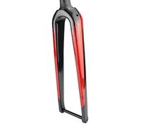 FKXSXAZ Horquilla de Bicicleta rígida de Fibra de Carbono Completa para Carretera, 700c, 1-1/2'' cónica, 26'', 27.5'', 29'', montaña, MTB, Eje pasante 12x100mm, Freno de Disco Delantero (C