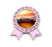 Flag Journey Silk Road Camel Desert Badge Pin Pink Winner Award Medal, Medium, Metal