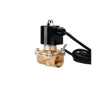 FLAGPVPAGT 3/4" IP68 Waterproof Normally Closed/Open Brass Fountain DN20 110V 12V 24V Solenoid For Underwater(NBR-Seal,230VAC,Open)