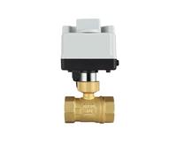 FLAGPVPAGT Brass Motorized Ball Valve AC220V DC12V Three-Wire Electric Actuator Manual Switch Two Control DN15-50 IP67 Smart Water(DN50,AC220V,3 Way)