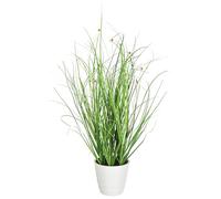 Flair Flower 020700GN arbusto Blanca, Mesa, Verde, Plantas Artificiales, Decorativa, racimo, Hierba Ornamental, Maceta, decoración, Manojo de césped, 45 cm, 16x45x16 cm