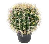 Flair Flower 151587GN Planta Artificial de Cactus, en Maceta, Cactus Artificiales, Higo de Cactus, Cactus, decoración de Aloe Vera, Suegra, Asiento de madreña, Bola de ecinocactus