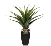 Flair Flower Agave en Maceta