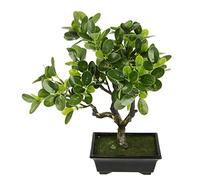 Flair Flower Árbol de bonsái Artificial en Cuenco para decoración Japonesa para la casa, el Dormitorio, la Boda, la decoración de la casa, el Ginseng, la Planta Artificial pequeña