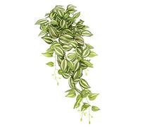 Flair Flower Artificial Tradescantia 151723GNR - Guirnalda de Hiedra para Colgar (80 x 28 x 26 cm)