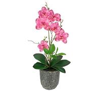 Flair Flower Flor Artificial de orquídea con Hojas y raíces aéreas en Maceta de cerámica, orquídea Artificial, phalaenopsis con Maceta, Planta Artificial, decoración de Boda, Flor de Seda Real