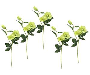 Flair Flower Helleborus 021114GN - 5 Flores Artificiales de Seda, Flores Individuales, Tallo Individual, Tallo Artificial, decoración de Flores, Verde, 57 x 12 x 5 cm