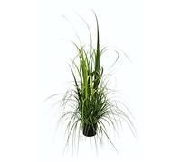 Flair Flower Hierba Artificial en Maceta, Planta Verde, Hierba Artificial, Hierba Decorativa, arbusto de Hierba, Arte Decorativo, Hierba Solitaria, Planta Artificial, Juncos, decoración de Primavera