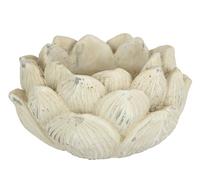 Flair Flower Macetero Antiguo de Flor de Loto, macetero, macetero, macetero, macetero, macetero, Soporte para Plantas suculentas, decoración de jardín, terraza, 10 x 17 cm, Loto