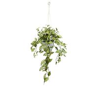 Flair Flower Macetero Artificial con Maceta y Colgador de Plantas Artificiales, Planta Artificial, Planta de Interior, Planta trepadora, Hiedra