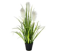 Flair Flower Pampa Hierba en Maceta, poliéster, plástico, Blanco, 20 x 20 x 55 cm