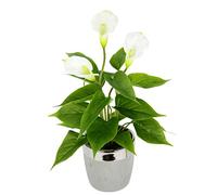 Flair Flower, Planta Artificial Blanca Calla en Maceta de cerámica, Flores, Flores Artificiales, Flores de Seda, plástico, impurezas, decoración Artificial, Flores Falsas, 42 x 23 cm