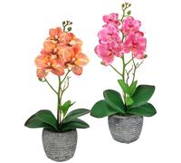 Flair Flower Planta Artificial de orquídea de 35 cm con Hojas en Maceta, orquídea Artificial, Phalaenopsis, Maceta Artificial, decoración para Boda, Flores de Seda, Color Naranja y Rosa