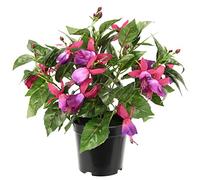 Flair Flower Planta Artificial Decorativa de Color Fucsia en Maceta, Plantas Artificiales, Flores de Seda, pétalos Dobles Falsos