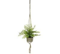 Flair Flower Planta Artificial para Mujer, Planta Decorativa, Planta Verde Colgante, macetero para Colgar, arbusto, arbusto, Planta de Maceta, Planta de Maceta, Planta de Planta Artificial