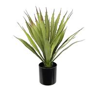 Flair Flower Sansevieria - Planta Artificial de Aloe Vera en Maceta, Plantas exóticas, Plantas de Interior, decoración para terraza, balcón, suculenta, yuca Kalanchoe