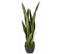 Flair Flower senseverie en Maceta