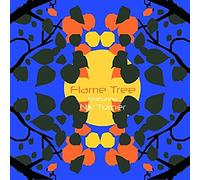 Flame Tree feat. Nik Turner - Flame Tree feat. Nik Turner