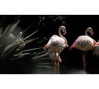 Flamencos - Rompecabezas de Madera de 7000 Piezas - Juego Familiar desafiante para Mayores de 14 años