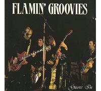 Flamin Groovies - Groove in