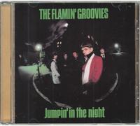 Flamin Groovies - Jumpin in The Night