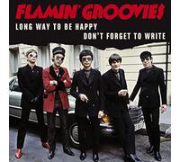 Flamin' Groovies - Long Way to Be Happy