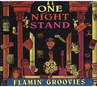 Flamin' Groovies - One Night Stand