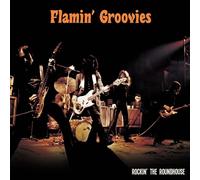 Flamin' Groovies Rockin' the Roundhouse (Orange) (Vinyl) (Importación USA)