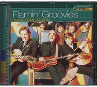 Flamin' Groovies - Shake Some Action