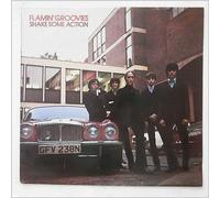 FLAMIN' GROOVIES - shake some action LP