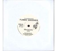 Flamin Groovies - Step Up (Live) / Noose Around My Neck
