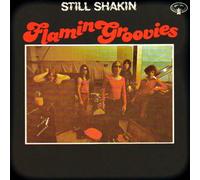 Flamin' Groovies - Still Shakin