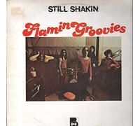 FLAMIN' GROOVIES - still shakin LP