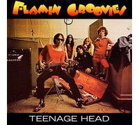 Flamin Groovies - Teenage Head