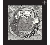 Flaming Star - In The Pipers Magical Kingdom [VINYL] [Vinilo]