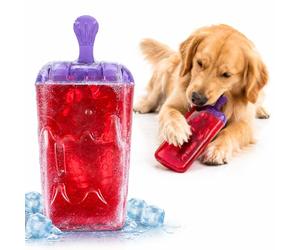 Flamingo 515865 Juguete Perro Ice Lolly para Poder Congelar con Agua por Dentro